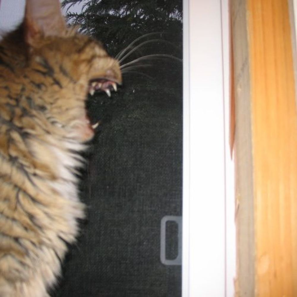 Meet your Posher, Julie